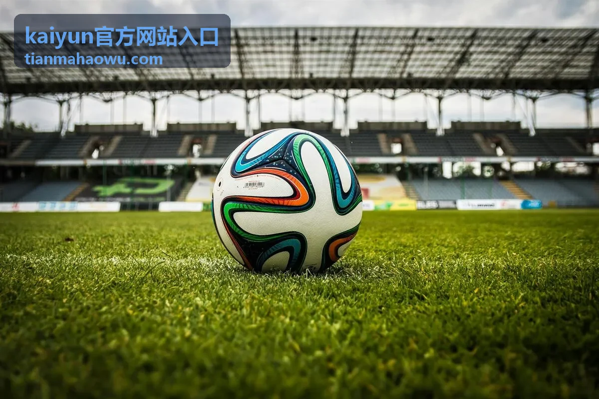 kaiyun官方网站入口验证通道安全验证说明封面