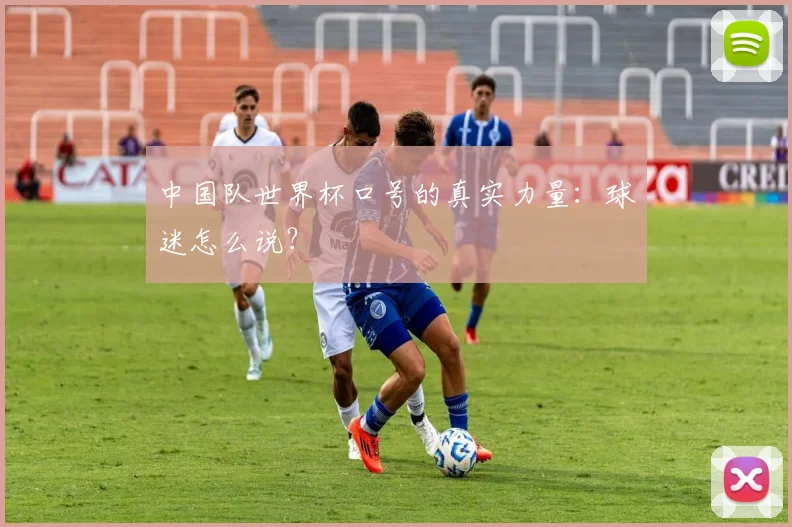 中国队世界杯口号的真实力量：球迷怎么说？