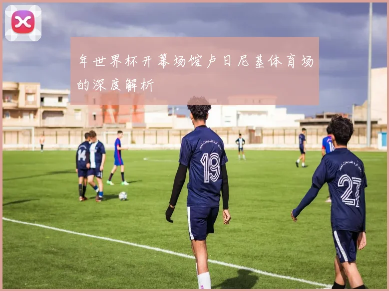 年世界杯开幕场馆卢日尼基体育场的深度解析
