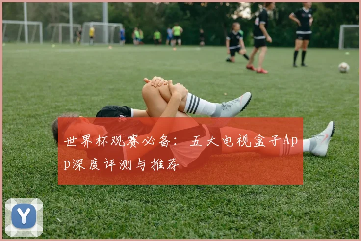 世界杯观赛必备：五大电视盒子App深度评测与推荐
